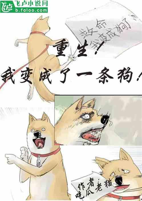 吃瓜奇葩小说免费阅读,免费阅读吃瓜小说的奇幻之旅